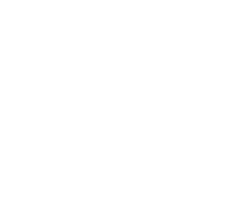 Voorbeeld