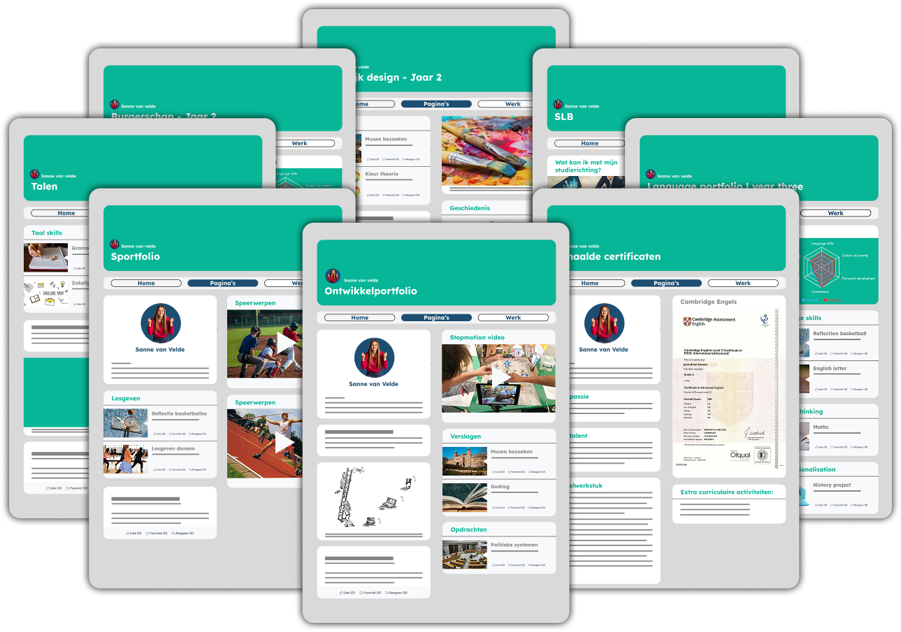 Portfolio bewijslasten